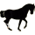 Reitpferd Andalusier Hellgrau