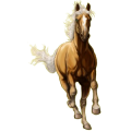 Pony Deutsches Reitpony Fuchs