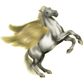 Pegasus-Reitpferd Andalusier Hellgrau