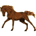 Pegasus-Reitpferd Lusitano Cremello