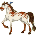 Reitpferd Hannoveraner Brauner