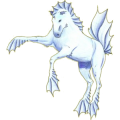 Reitpferd Araber Hellgrau