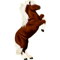 Pony Fuchs