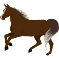 Reitpferd Paint Horse Dunkelbrauner mit Tobiano-Scheckung