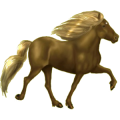 Reitpferd Isländer Dunkelfuchs