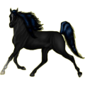 Pony Deutsches Reitpony Rappe