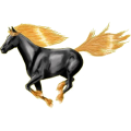 Reitpferd Lusitano Brauner