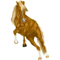 Reitpferd Andalusier Falbe