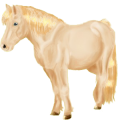 Pony Deutsches Reitpony Brauner