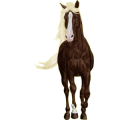 Reitpferd Mustang Brauner