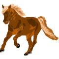 Reitpferd Araber Fuchs mit heller Mähne