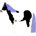 Reitpferd Andalusier Apfelschimmel