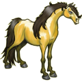 Reitpferd Isländer Dunkelfuchs