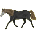Reitpferd Curly Horse Fuchs mit Tobiano-Scheckung