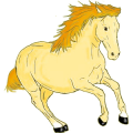 Pony Norweger Braunfalben