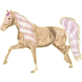 Reitpferd Morgan Palomino