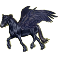 Pegasus-Reitpferd Curly Horse Rappe