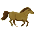 Reitpferd Araber Forellenschimmel