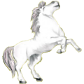 Reitpferd Lusitano Hellgrau