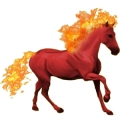 Reitpferd Tinker Falbe mit Tobiano-Scheckung