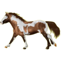 Pony Shetlandpony Rotbrauner