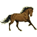 Pegasus-Reitpferd Trakehner Dunkelbrauner