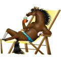 Reitpferd Friese Rappe