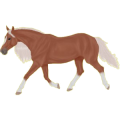 Reitpferd Andalusier Falbe