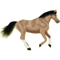 Reitpferd Mustang Brauner
