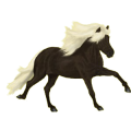 Pony Deutsches Reitpony Rappe