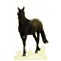 Reitpferd Orlow-Traber Rappe