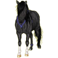 Pony Deutsches Reitpony Hellgrau