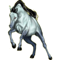 Reitpferd Andalusier Apfelschimmel