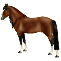 Reitpferd Oldenburger Fuchs