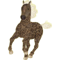Reitpferd Andalusier Apfelschimmel