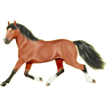 Reitpferd Paint Horse Brauner mit Tobiano-Scheckung