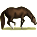 Pony Haflinger Fuchs mit heller Mähne