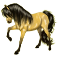 Reitpferd Andalusier Apfelschimmel
