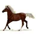 Pony Haflinger Fuchs mit heller Mähne