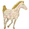 Pony Welsh Cob Rotbrauner