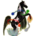 Reitpferd Araber Brauner