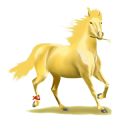 Reitpferd Trakehner Fuchs