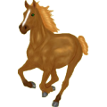 Reitpferd Hannoveraner Falbe