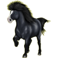 Pony Roan