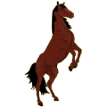 Reitpferd Appaloosa fuchsfarbener Leopard