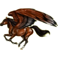 Pegasus-Reitpferd Mustang Brauner