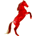 Reitpferd Araber Forellenschimmel