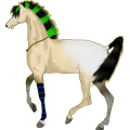 Reitpferd Araber Forellenschimmel