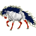 Reitpferd Argentinischer Criollo Rappe