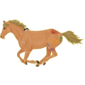Reitpferd Argentinischer Criollo Fuchs mit heller Mähne